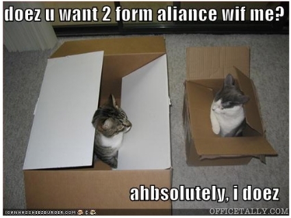 Office LOLCat