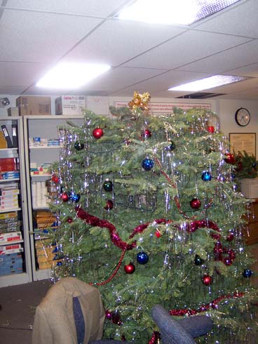 The-Office-Christmas-Photos-10