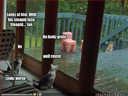 The Office Lolcat