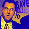 Save Wallace by Amy