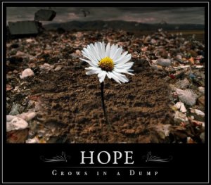 Hope grows in a dump