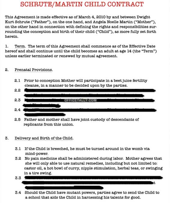 Schrute Martin Child Contract