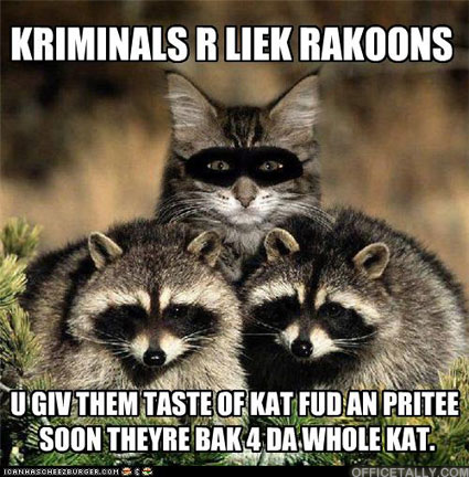 Mafia Lolcat by Jake