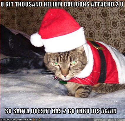 Secret Santa Lolcat by Allison