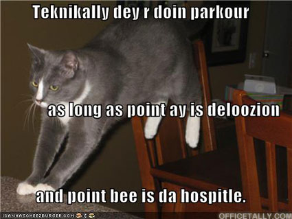 Gossip Lolcat by Kelly Krasinski