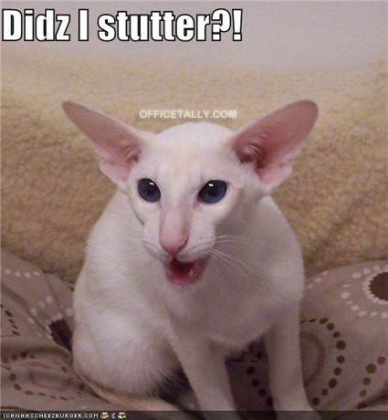 The Office Lolcat: Did I Stutter?