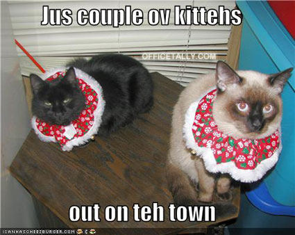 christmas lolcat