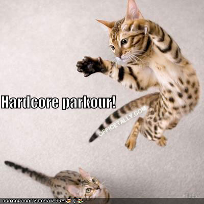 The Office Lolcat Hardcore Parkour