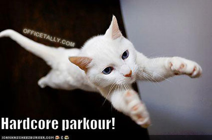 The Office Lolcat Hardcore Parkour