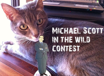 Michael Scott in the Wild Contest