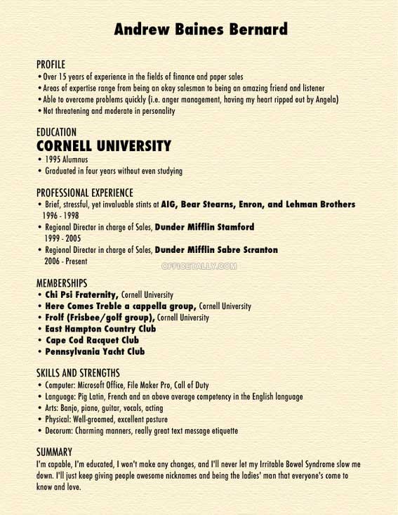 Andy Bernard resume